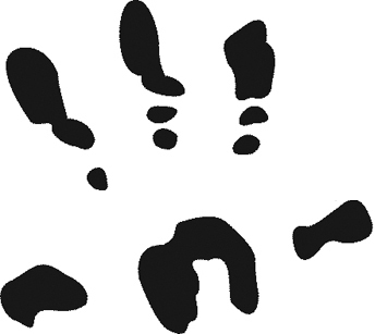 mattfiddler's profile picture. 