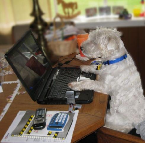 sonnine's profile picture. 