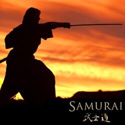 Samurai = 'To Serve' / DigitalSamurai = 'To Serve... Digitally'