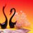 HssHssa's profile image