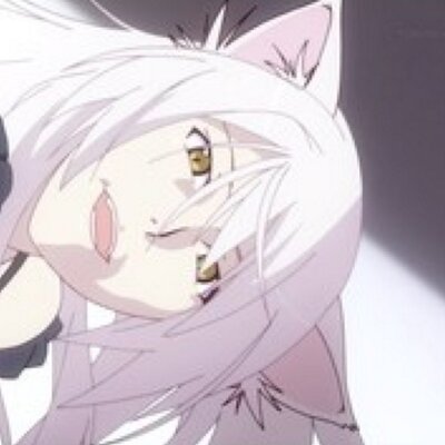 障り猫 T Twitter