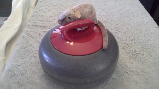 part-time curler, part-time Tolkienist, full time rodent