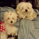 Davis Burton - @davis_burton - Twitter