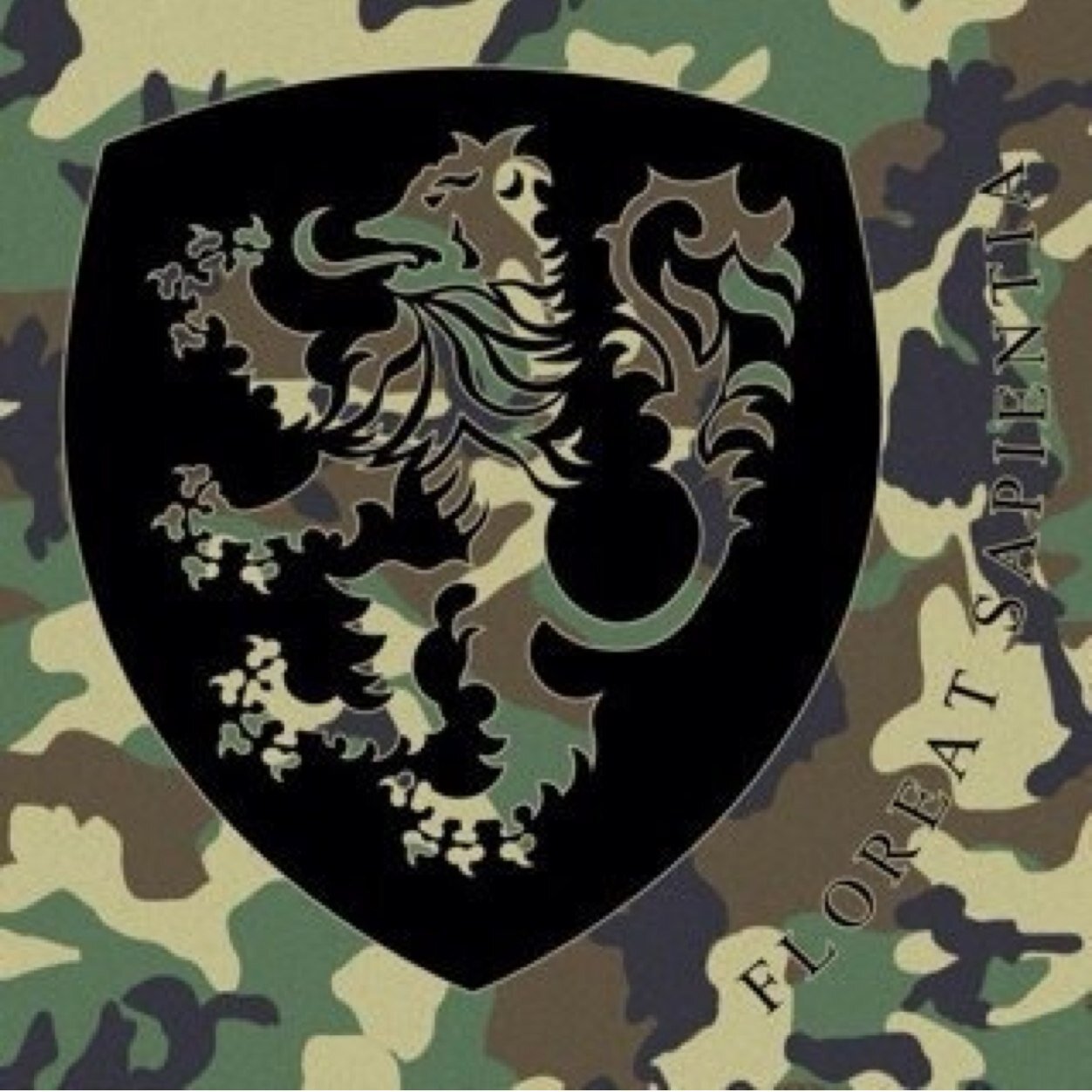 Combined Cadet Force in the heart of Norfolk working together with our #CEP school @HethersettAcad