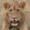 Peter Ndungu - @PeterN254 - Twitter