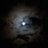 Frk_Ay5's profile image