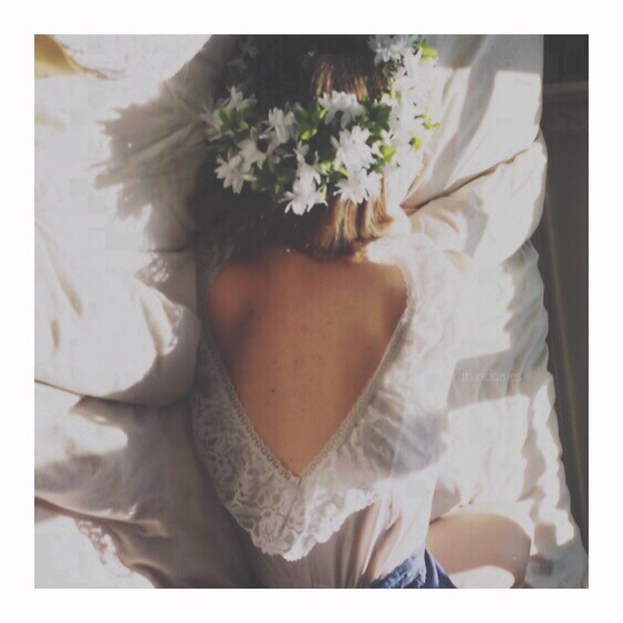 thindaisies's profile picture. I love daisies.