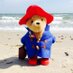 Paddington Bear (@iampaddington) Twitter profile photo