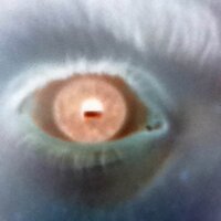 Davian. (@davian_clark) 's Twitter Profile