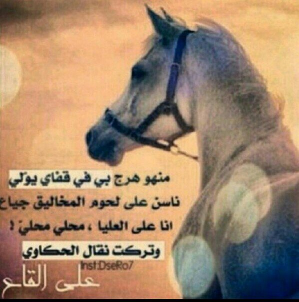 لآ شَئَ يَبقَىَ وَ لآ شَئَ يَرحَلَ هِيّ آقَدَارَ كٌتِبَتَ لنَا بِحَلآوَتُها وَ مراَرتها لنعيشها بِهدوءء..♡