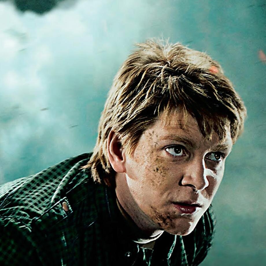 Harry Potter como forma de vida/alguien vio a mi hermano??