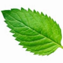 Linux, Linux Mint, Tutorial
