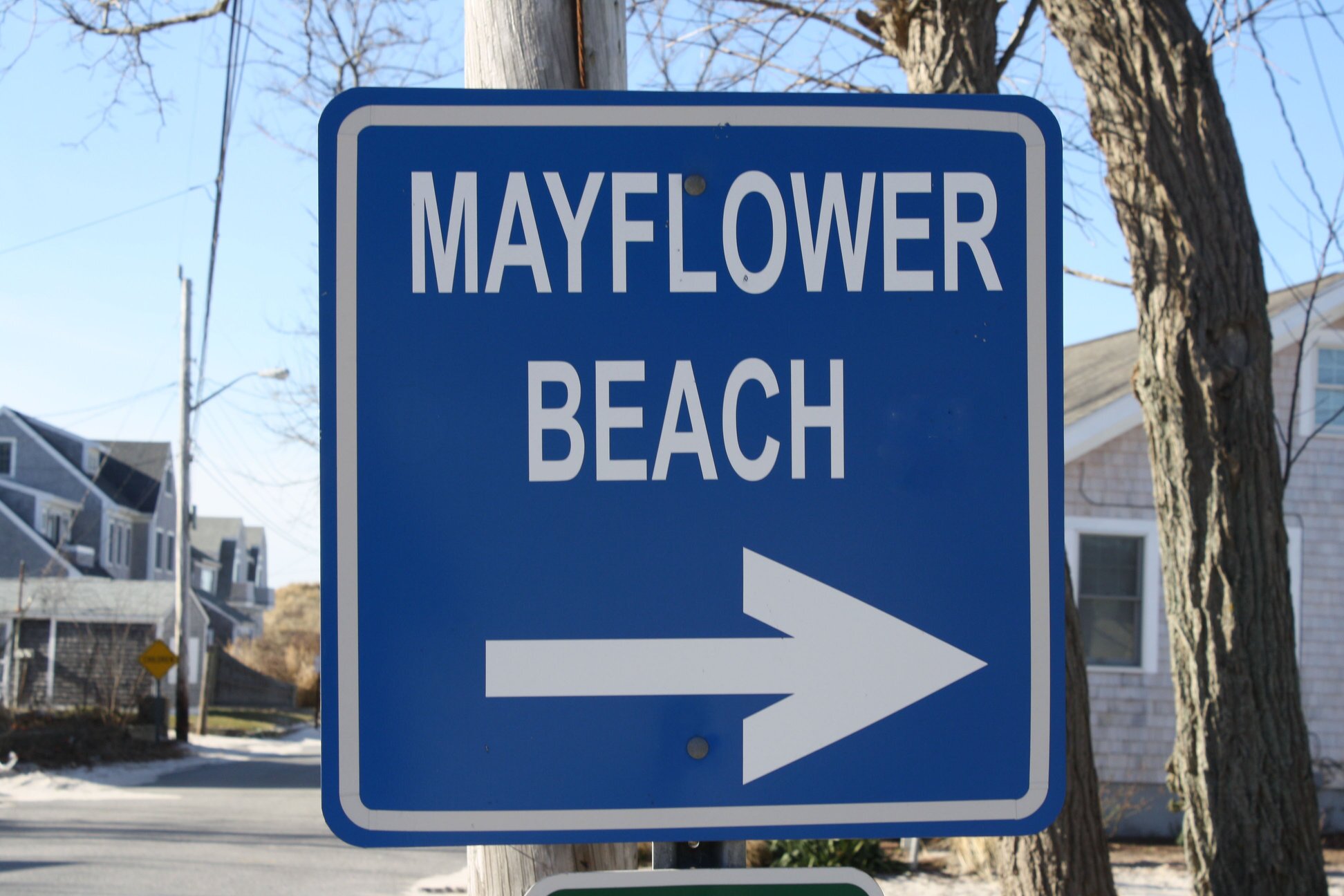 Cape Cod Real Estate Agent