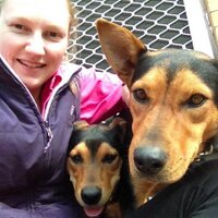 Clara Bradford (@claracollison) 's Twitter Profile Photo Clara Bradford (@claracollison) 's Twitter Profile Photo