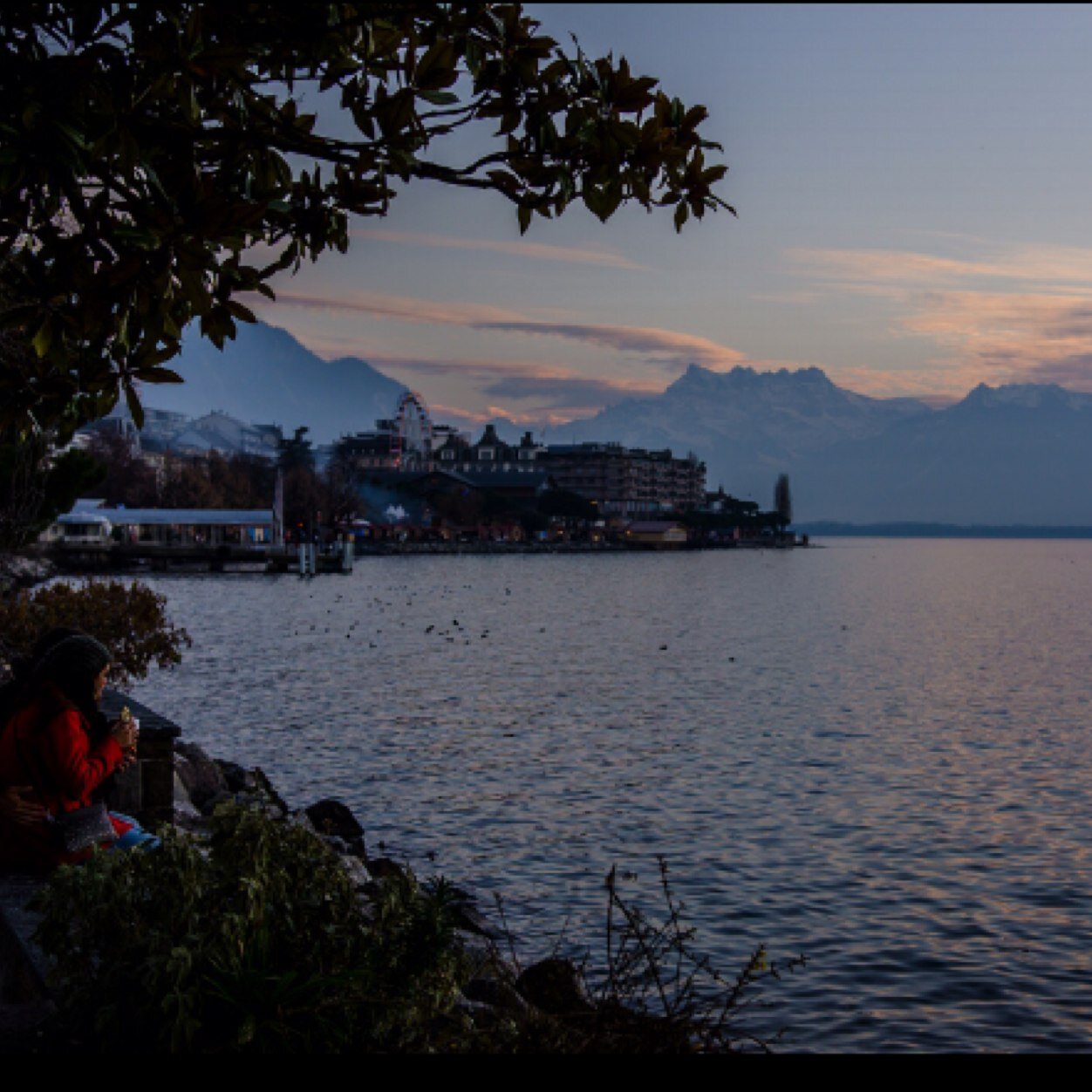 ShamsaButti's profile picture. 