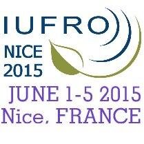 IufroNice2015's profile picture. 