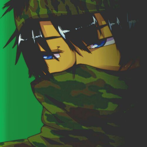 大事な年につきツイ減中/ガチ勢にはなれない   PS4/GTA/BF/Minecraft/ときたまCoD