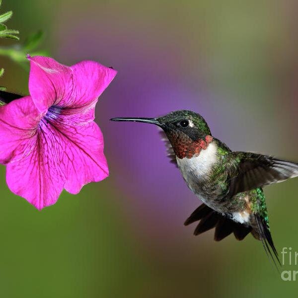 winkey2's profile picture. Nurse..Wife..Mother..Independent Woman