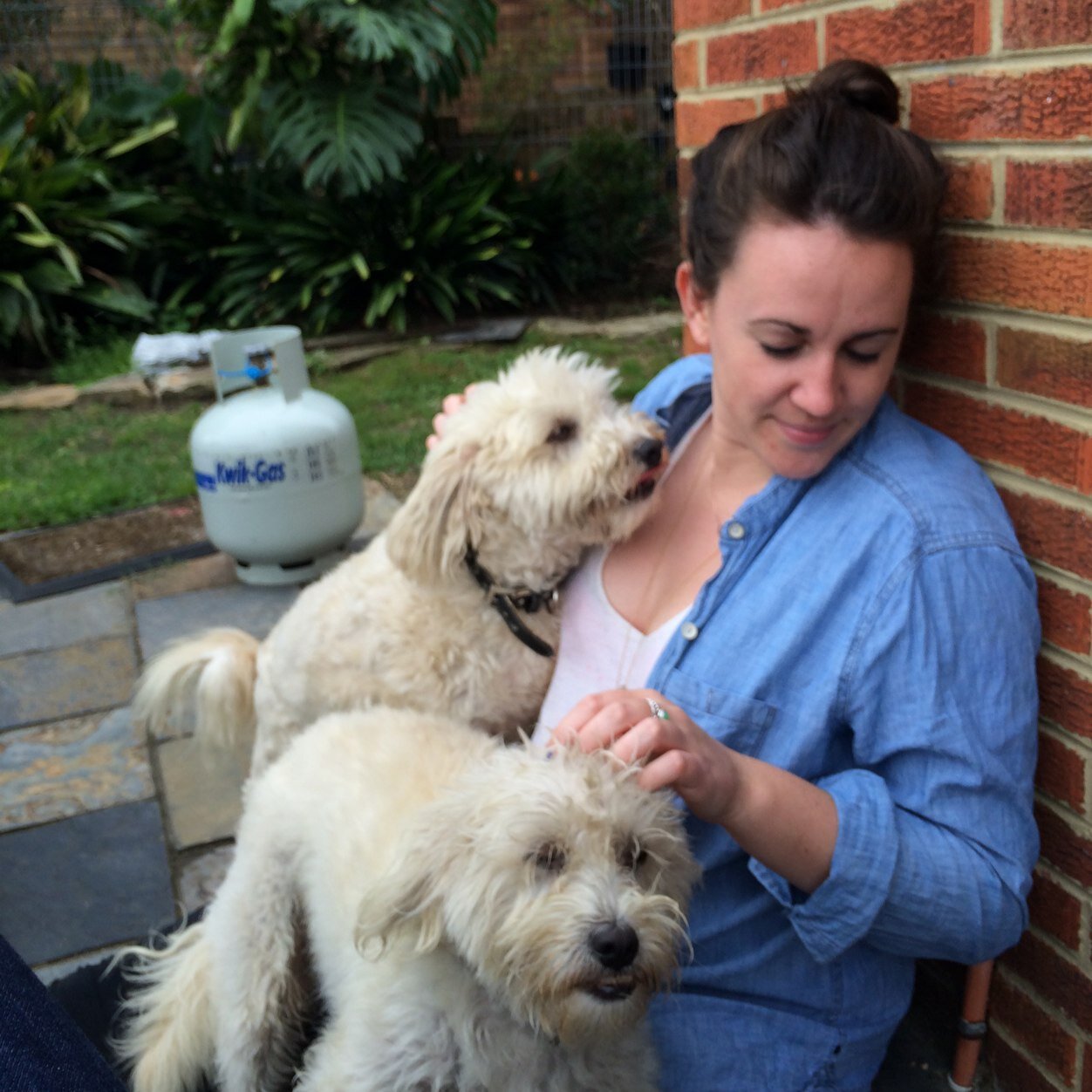 mopeylion's profile picture. #cx #Strategy #consulting