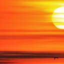 Richard Feehan - @feehan_richard - Twitter