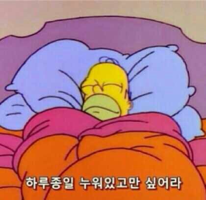 계정옮긴 lamb놈 킁킁이さんのプロフィール画像
