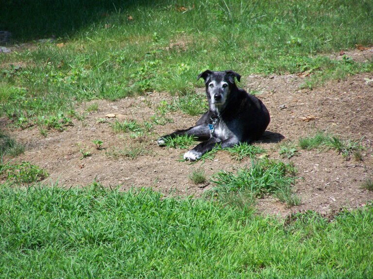 laurapimentel67's profile picture. 