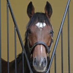 Genuine stable information.

Select membership available.