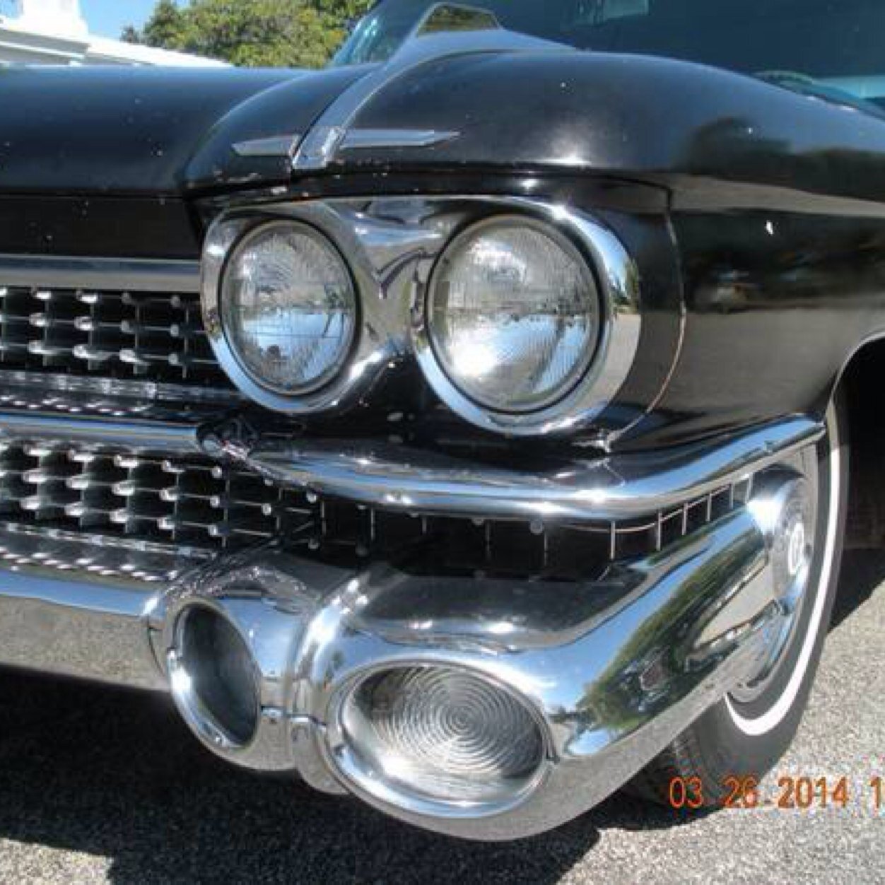 kuwait_trading's profile picture. 