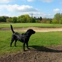 Kevin Rolph - @kevin_rolph - Twitter