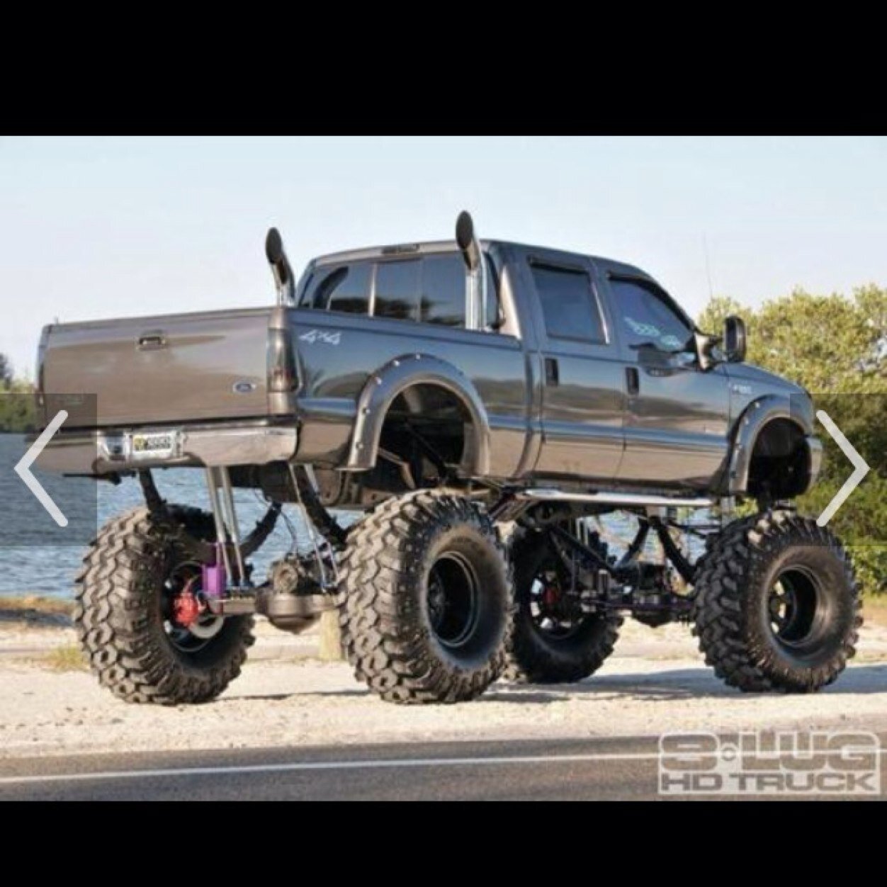 ForrestLink's profile picture. 