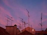 TheBasdad's profile picture. 