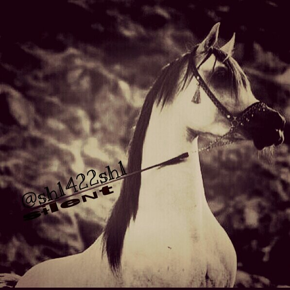 ‏‏‏‏‏‏‏‏‏‏‏‏‏‏‏‏‏‏رؤيۃ الحٵصل ٵو رؤيۃ خارج القسِّمۃ

لَيِسِتٌ فُلَسِفُة حقيقة لَاتٌجّبًر عٌقُلَکْ يِفهمها