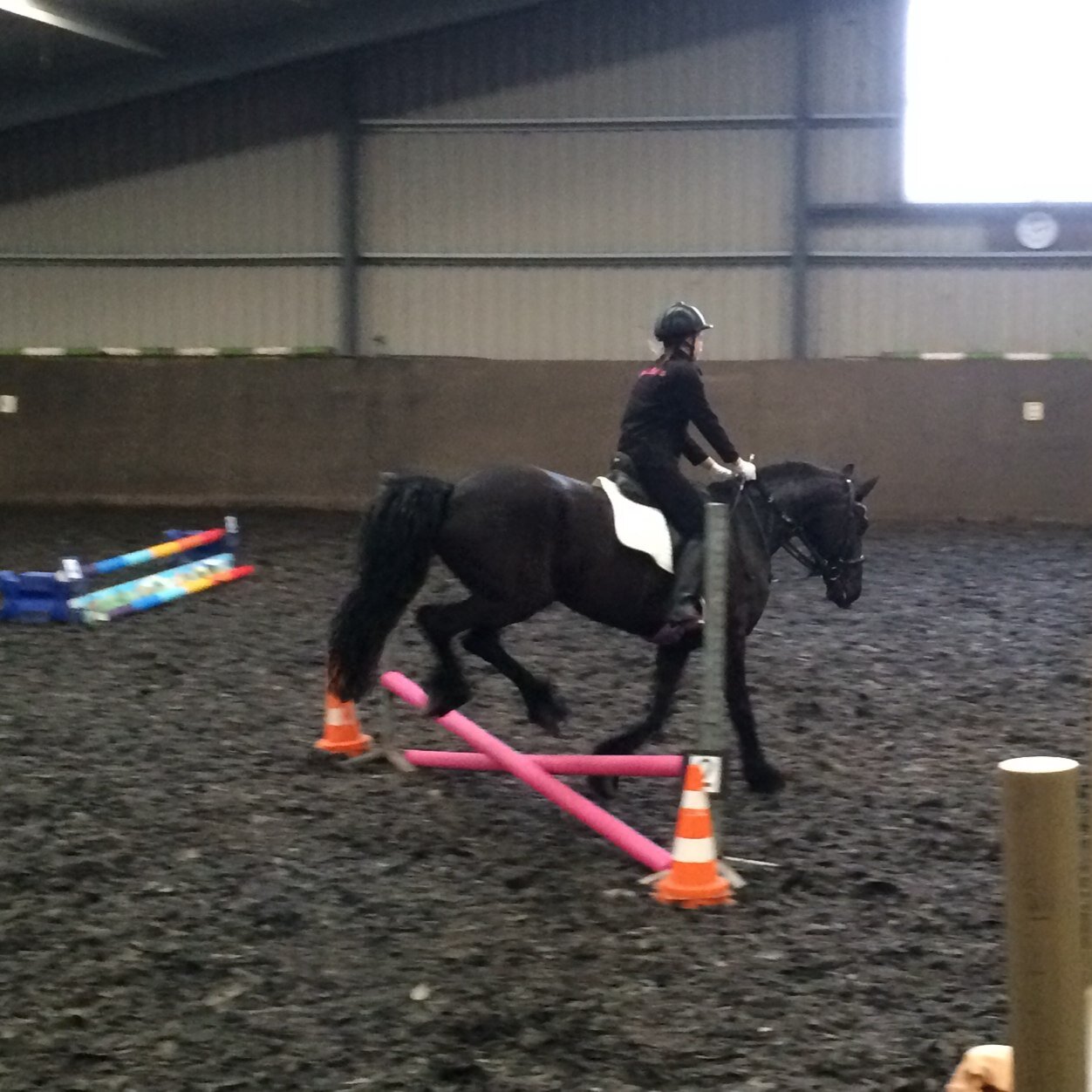 Leeuwarder lyceum 2D ~ stal lunia ~ hou van mn lieverds madelief,maaike,elaine,vera en marene