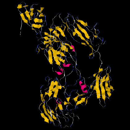 TelBushman2's profile picture. Molecular Biologist
