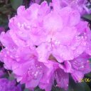 Heather Herrmann - @HerrmannHeather - Twitter