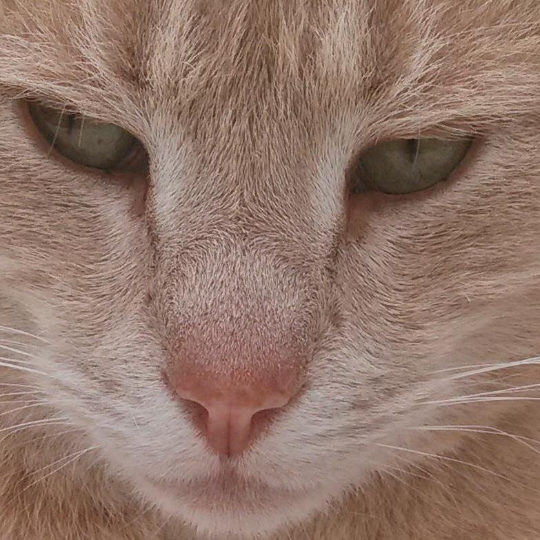 62tronic's profile picture. 