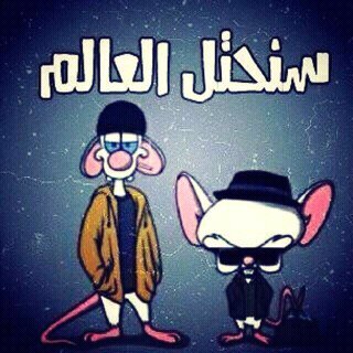 ‏أعزب