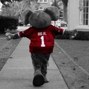 Dawn Fulton - @dfulton11 - Twitter