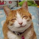 動物虐待反対‼︎ (@0030mi) Twitter