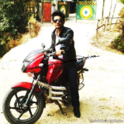 spring_blooms's profile picture. 