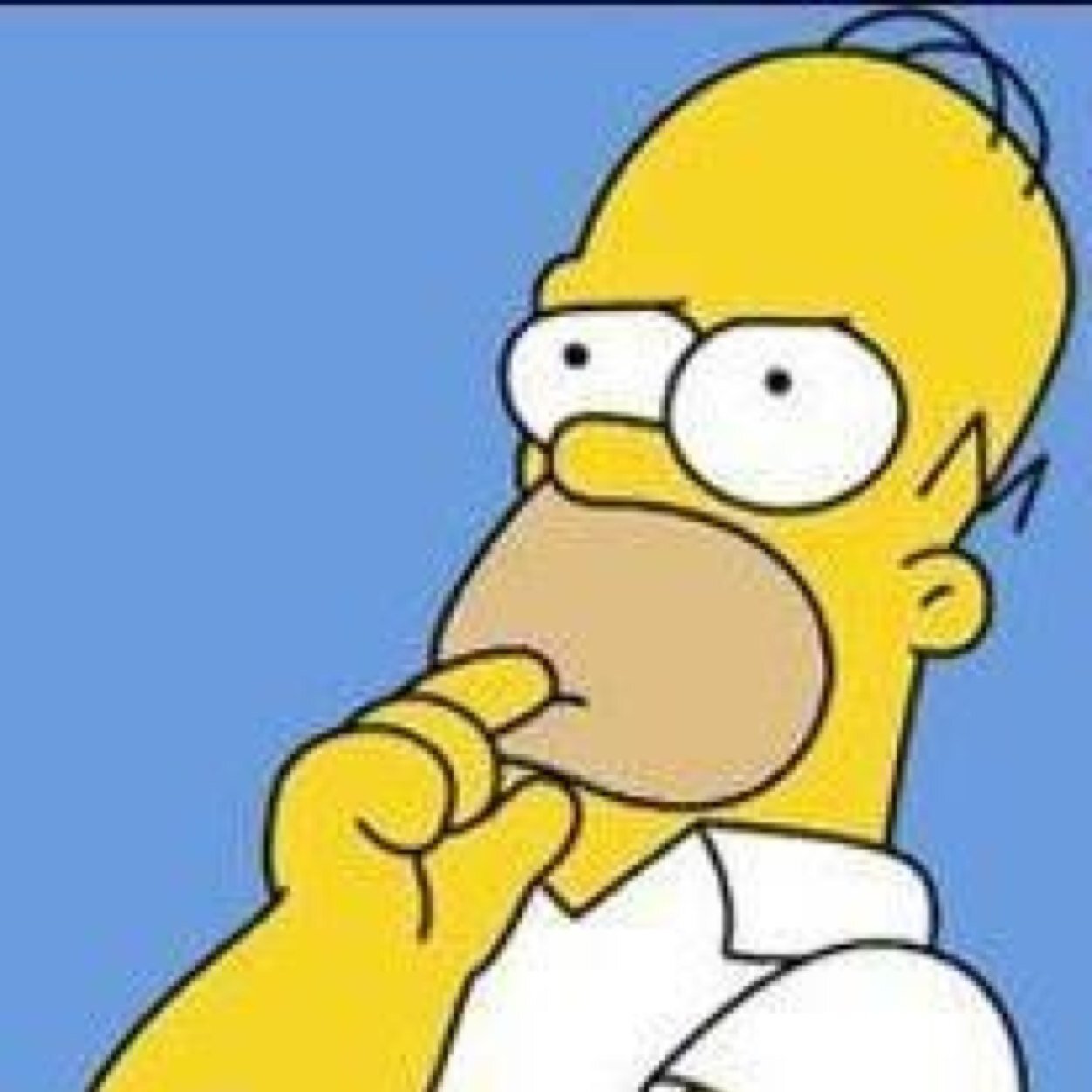 zahraamimi's profile picture. 