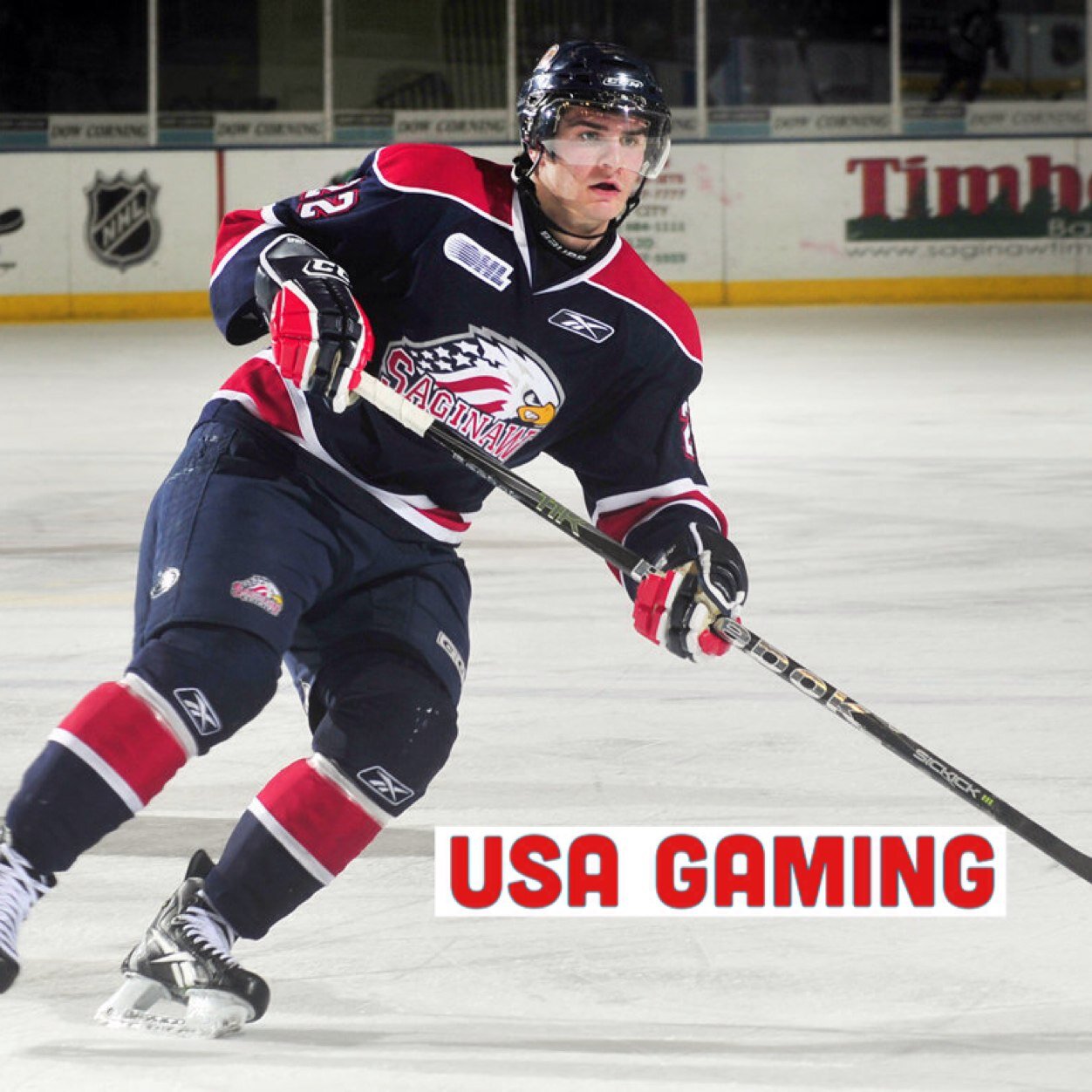 USAGaming89's profile picture. {PS4 Gamer} {I Play MLB,NBA and NHL} {Kings,Jays and Bulls fan} {Quick,Lawrie and KD!} {#RoadToTrusted} {also a HUGE Saad and Saginaw Spirit fan!}