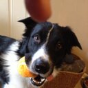 Jim Ricks - @Jimricks41 - Twitter