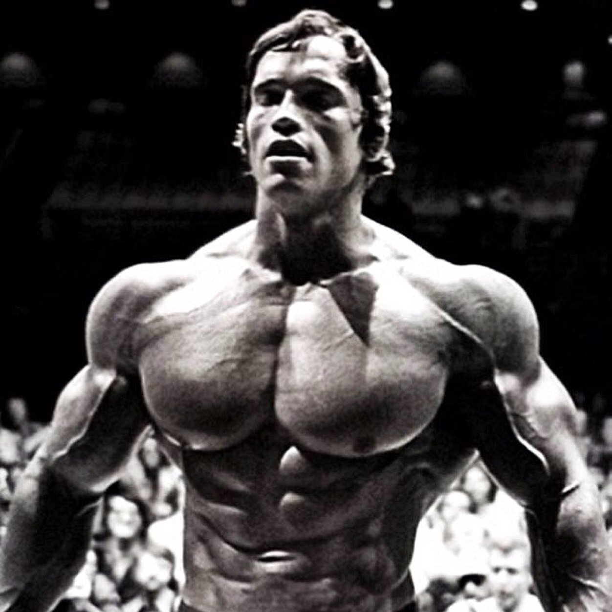 Fitness | Gym | Nutrition
