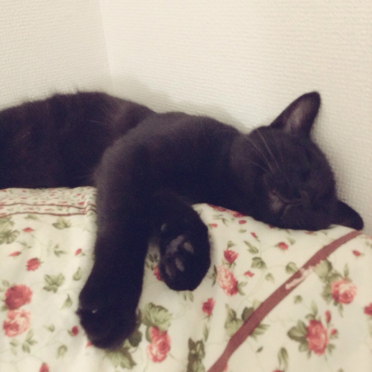 名城大学 卒業  新社会人スタート