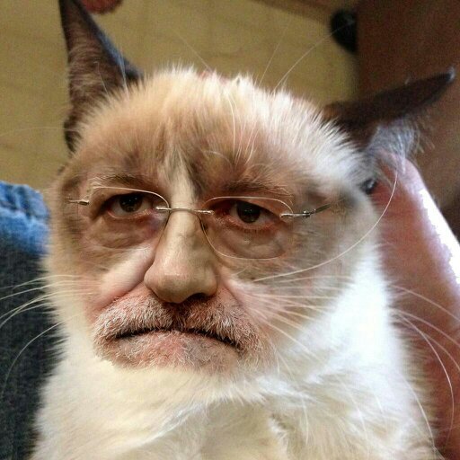 er presidnte d ESPÑ . soy er q manda. azme follou y vajo iba. fumo porro (vuscarme en tueenti)