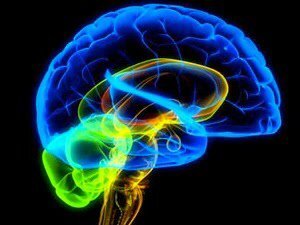 jlandaberea1's profile picture. 