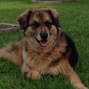 Tonya Bartlett - @tonyabtx - Twitter