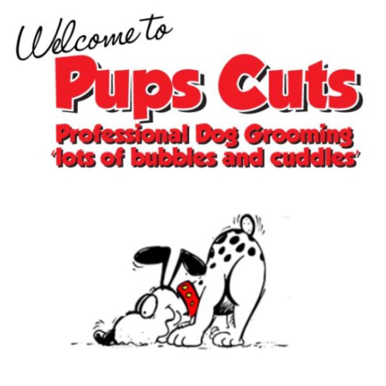Professional dog groomers based in Heald Green. Offering a wide range of services with lots of bubbles and cuddles!