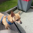 jackie devore - @pez1862 - Twitter